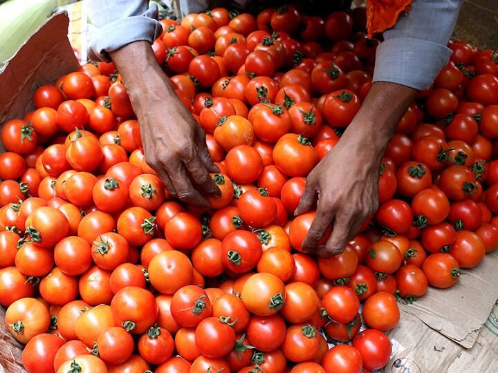 Tomatoes Rate have come down to 80 rupees per kg after government action on wholesale price Tomato Rate: सरकार के कदम के बाद घटे टमाटर के दाम, यहां मिल रहा 80 रुपये किलो के रेट पर टमाटर