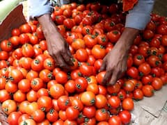 Tomato : માત્ર 60 જ રૂપિયામાં મળશે ટામેટા, જાણો ક્યાં અને કેવી રીતે?