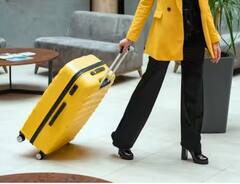 ਇਸ ਦੇਸ਼ 'ਚ Trolly Bags ਇਸਤੇਮਾਲ ਕਰਨ 'ਤੇ ਲਾਈ ਪਾਬੰਦੀ, ਅਜਿਹਾ ਕੀਤਾ ਤਾਂ ਲਗਦਾ ਹੈ ਭਾਰੀ ਜੁਮਾਰਨਾ