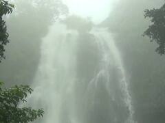 चोहिकडे हिरवळ, धुक्याची चादर अन् फेसाळलेले धबधबे; महाराष्ट्राची चेरापुंजी असलेल्या आंबोलीत पर्यटकांची गर्दी