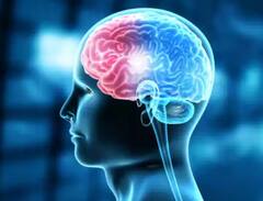 झील में नहाने गया था लड़का... नाक के रास्ते घुस गया अमीबा और खा गया दिमाग, हुई मौत, जानें क्या है ये खतरनाक बीमारी