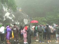 चोहिकडे हिरवळ, धुक्याची चादर अन् फेसाळलेले धबधबे; महाराष्ट्राची चेरापुंजी असलेल्या आंबोलीत पर्यटकांची गर्दी