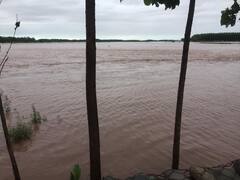 ਹੜ੍ਹਾਂ ਦੇ ਖ਼ਤਰੇ ਕਾਰਨ ਪੰਜਾਬ ਪੁਲਿਸ ਚੌਕਸ, ਬਣਾਏ ਕੰਟਰੋਲ ਰੂਮ, NDRF ਤੇ ਫੌਜ ਨੂੰ ਚੌਕਸੀ 'ਤੇ ਰੱਖਿਆ