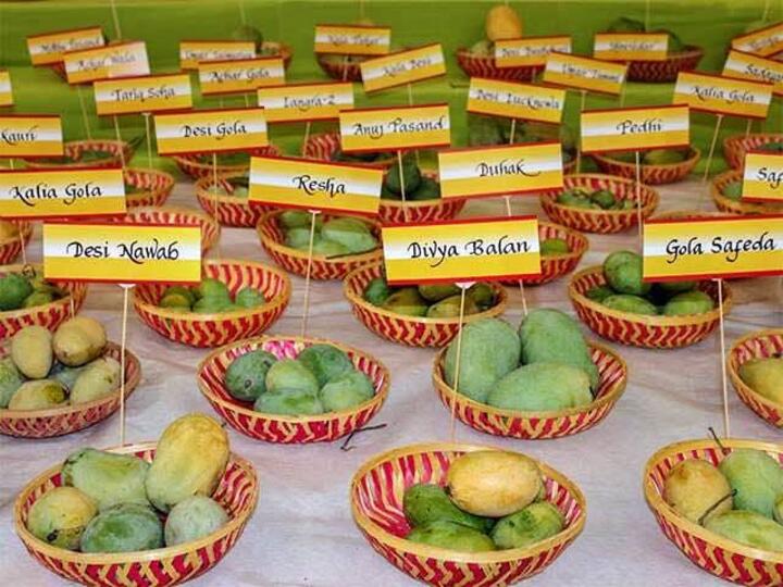 INTERNATIONAL MANGO FESTIVAL 2023: மாம்பழ பிரியர்களே… வந்துவிட்டது மாம்பழ திருவிழா..! ஏன், எதற்காக கொண்டாடுகிறோம்?