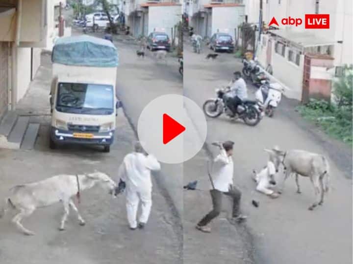 Donkey deadly attack on old man in kolhapur maharashtra cctv video viral Viral Video: गधे ने बुजुर्ग पर हमला कर किया लहूलुहान फिर... जानलेवा हमले का CCTV फुटेज आपको डरा देगा
