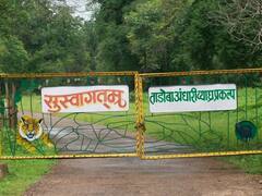 Chandrapur News: मध्य भारतातील व्याघ्र प्रकल्प शिकाऱ्यांच्या रडारवर; ताडोबासह पेंच, मेळघाटला ‘रेड अलर्ट’