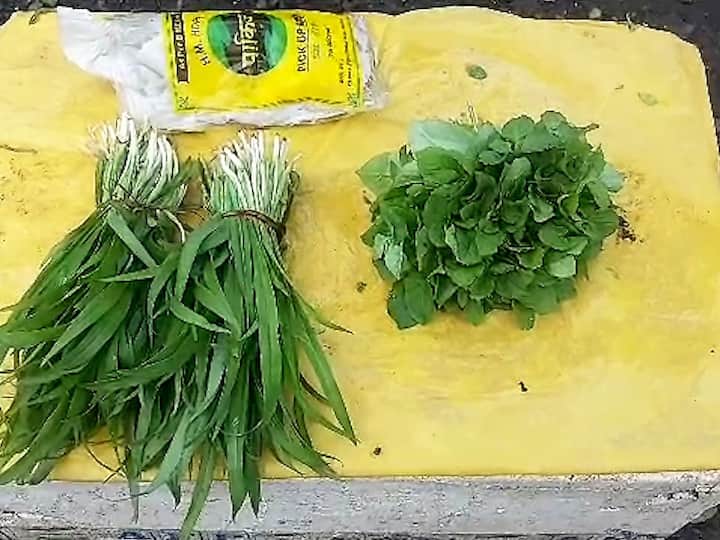 लोत, कंटोली, शिराळा, काकडी, तेरा, शेवळी, शिण, पेंढरु अशा शंभरपेक्षाही जास्त भाज्या पालघरमधील जंगलांमध्ये उपलब्ध आहेत.