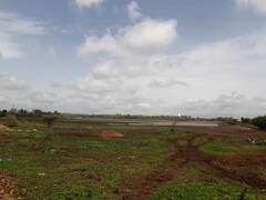 Kalamba Lake: कोल्हापुरात पावसाची रिपरिप, पण पाणीपुरवठा करणारा कळंबा तलाव अजूनही तहानलेलाच