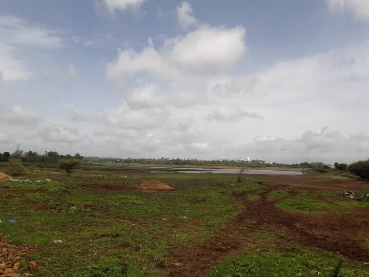 कोल्हापूर जिल्ह्यात राधानगरी, शाहूवाडी, गगनबावडा तालुक्यात मुसळधार पावसाने झोडपून काढले आहे.