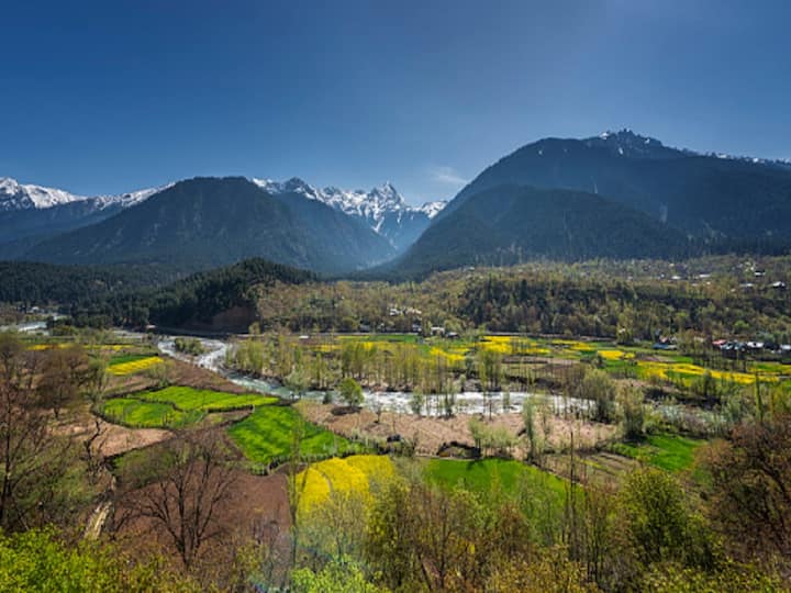 Jammu And Kashmir Revival Of Tourism As Foreign Visitors Rediscover The Valley's Charm Revival Of Tourism In Kashmir: Foreign Visitors Rediscover The Valley's Charm