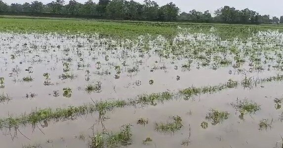 Mehsana Rain: મહેસાણા જિલ્લામાં વરસાદની તોફાની બેટીંગ, વિજાપુર, ખેરાલુ, વિસનગર જળબંબાકાર