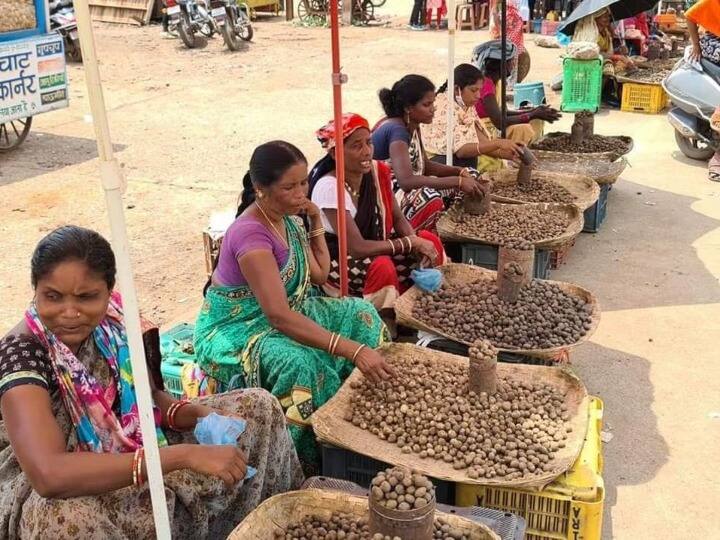 The price of this vegetable of Bastar is Rs 2000 per kg, the lovers of its taste do not see the price