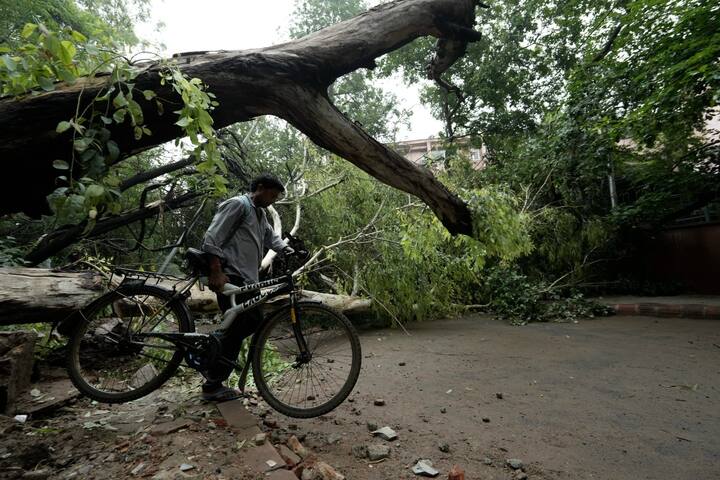அன்றாட வேலைக்கு போகும் மக்கள் மரம் சரிந்த சாலை வழியாக செல்ல முடியாமல் திணறி வருகின்றனர். பேரிடர் மீட்பு படையினர் மீட்பு பணிகளை அதி தீவிரமாக செயல்படுத்தி வருகின்றனர்.