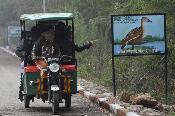 How E-Rickshaw Drivers Are Managing Their Batteries: Schemes & Policies That Can Benefit Three-Wheeler Owners