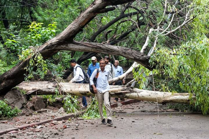 சாலையோரம் உள்ள பழமை வாய்ந்த மரங்கள் அசுர காற்று வீசியதால் வேரோடு சாய்ந்தது. அதனால் அங்கு போக்குவரத்து பெரிதும் பாதிக்கப்பட்டது.