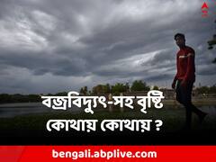 ভ্যাপসা গরম থেকে নিস্তার পাবে দক্ষিণবঙ্গ ? জানাল আবহাওয়া দফতর
