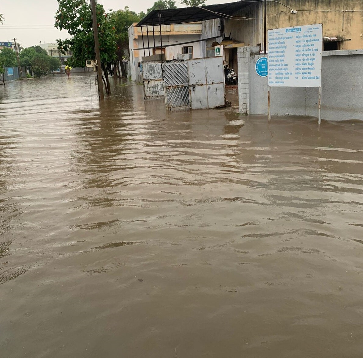 Gujarat Rain: રાજ્યમાં જામ્યો વરસાદી માહોલ, 24 કલાકમાં 245 તાલુકામાં મેઘમહેર, પાટણના સાંતલપુરમાં સૌથી વધુ સાડા છ ઈંચ વરસાદ