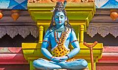 Sawan Somwar: श्रावणी सोमवारच्या निमित्ताने करा या गोष्टींचं दान; शंकराची होईल कृपा