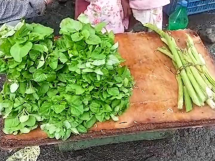 कोणत्याही प्रकारची शेती किंवा बियाणे न पेरता पावसाळ्यात पाऊस पडल्यावर निसर्गतःच उगवल्या जाणाऱ्या भाज्या म्हणजे रानभाज्या.