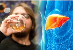 ਜ਼ਿਆਦਾ ਪੀਣ ਵਾਲਿਆਂ ਦਾ ਲੀਵਰ ਵੀ ਨਹੀਂ ਹੋਏਗਾ ਖਰਾਬ!, ਤਾਜ਼ਾ ਖੋਜ 'ਚ ਖੁਲਾਸਾ