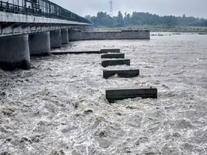 Haryana Hathinikund Barrage releases 2.78 lakh cusecs of water after IMD yellow alert, threat of flood in Delhi lower area Monsoon Rain in Delhi: IMD येलो अलर्ट के बाद हरियाणा ने 2.78 लाख क्यूसेक पानी छोड़ा, दिल्ली के निचले इलाकों में बाढ़ का खतरा