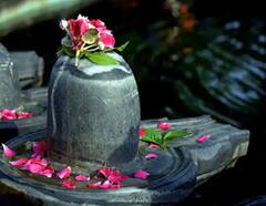 Sawan Somwar: श्रावणी सोमवारच्या निमित्ताने करा या गोष्टींचं दान; शंकराची होईल कृपा