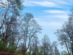 मानसून में शिमला-मनाली नहीं इस खूबसूरत जगह पर पार्टनर के साथ जाएं घूमने