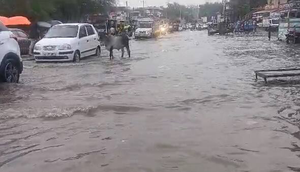 Heavy Rainfall in Mehsana district  Mehsana Rain: મહેસાણા જિલ્લામાં વરસાદની તોફાની બેટીંગ, વિજાપુર, ખેરાલુ, વિસનગર જળબંબાકાર