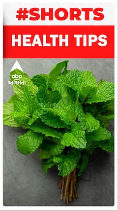 HEALTH TIPS : જાણો ફુદીનો ખાવાથી શરીરને શું ફાયદાઓ થશે ?