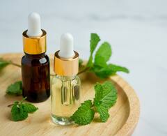 Tea-Tree Oil Benefits : टी-ट्री ऑईलचे हे फायदे माहित आहेत का?