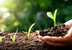 ਕਿਸਾਨਾਂ ਲਈ ਬੜੇ ਕੰਮ ਦੀ ਚੀਜ਼ SHC, ਆਨਲਾਈਨ ਫਰੀ ਬਣਵਾਓ, ਖਾਦਾਂ ਦੀ ਹੋਏਗੀ ਬੱਚਤ ਤੇ ਉਤਪਾਦਨ ਵੀ ਵਧੇਗਾ