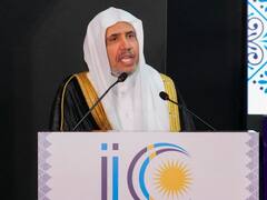 'भारत में हिंदुओं की संख्या अधिक होने के बाद भी...', बोले मुस्लिम वर्ल्ड लीग के महासचिव