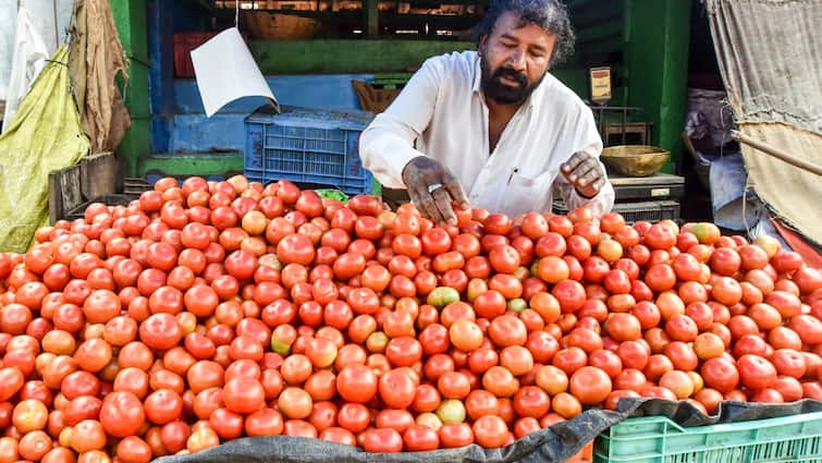 Tomato Prices: The fire in tomato prices will flare up, the price can go up to Rs 300 per kg Tomato Prices: ટામેટાના ભાવમાં ફરી ભડકો, ભાવ 300 રૂપિયા પ્રતિ કિલો સુધી પહોંચી શકે છે