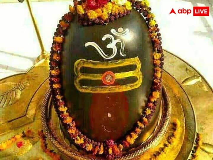 चंदन- चंदन का संबंध शीतलता से है. भगवान शिव मस्तक पर चंदन का त्रिपुंड लगाते हैं. चंदन का प्रयोग अक्सर हवन में किया जाता है. शिव जी को चंदन चढ़ाने से वो प्रसन्न होते हैं. इससे मान-सम्मान भी बढ़ता है.