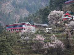 Mini Thailand in India: भारत में मौजूद है मिनी थाईलैंड, तस्‍वीरें देखकर खो जाएगा आपका दिल!