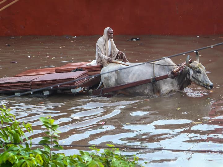 Gujarat Weather Today Roads submerged due to heavy rains rivers in spate IMD issued high alert Gujarat Weather News: गुजरात के कई हिस्सों में भारी बारिश से सड़कें जलमग्न, उफान पर नदियां, जारी किया हाई अलर्ट