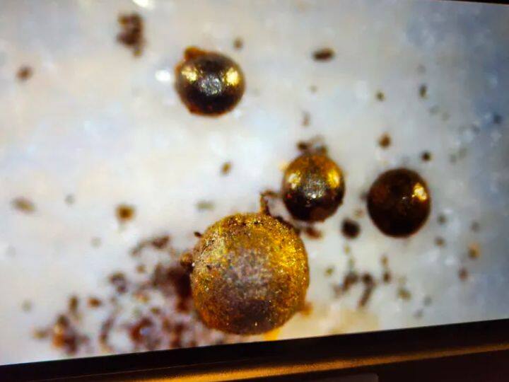This is not a meteorite it is alien technology know why scientists are saying this ये उल्कापिंड नहीं एलियन टेक्नोलॉजी है, जानिए वैज्ञानिक ऐसा क्यों कह रहे हैं?