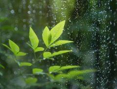 Rain : कधी पडणार पाऊस?  महाराष्ट्रात सरासरीच्या 23 टक्के कमी पाऊस