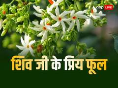 Sawan 2023: इन फूलों को चढ़ाने से जल्द प्रसन्न होते हैं भोलेनाथ, आप भी जान लें शिव जी के प्रिय पुष्प