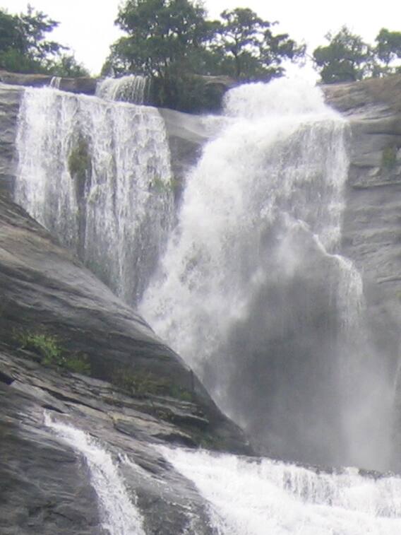 தமிழ்நாட்டில்  இவ்வளோ நீர்வீழ்ச்சி இருக்கா?