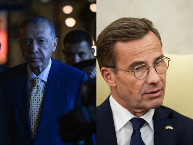 Turkey To Support Sweden's Nato Bid, Says Military Alliance Chief Jens Stoltenberg Erdoğan Turkey To Support Sweden's Nato Bid, Says Military Alliance Chief