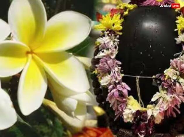 ਬ੍ਰਹਮਾਜੀ ਦੇ ਨਾਲ ਕੇਤਕੀ ਦਾ ਫੁੱਲ ਵੀ ਹੇਠਾਂ ਆ ਰਿਹਾ ਸੀ। ਜਦੋਂ ਬ੍ਰਹਮਾ ਜੀ ਜਯੋਤਿਰਲਿੰਗ ਦਾ ਅੰਤ ਨਹੀਂ ਲੱਭ ਸਕੇ ਤਾਂ ਉਨ੍ਹਾਂ ਨੇ ਸ਼ਿਵ ਦੇ ਸਾਹਮਣੇ ਝੂਠ ਬੋਲਿਆ ਕਿ ਉਨ੍ਹਾਂ ਨੇ ਇਸ ਦਾ ਇੱਕ ਸਿਰਾ ਲੱਭ ਲਿਆ ਹੈ ਅਤੇ ਇਸ ਝੂਠ ਵਿੱਚ ਉਨ੍ਹਾਂ ਨੇ ਕੇਤਕੀ ਦੇ ਫੁੱਲ ਨੂੰ ਸ਼ਾਮਲ ਕਰਕੇ ਗਵਾਹ ਬਣਾ ਲਿਆ।