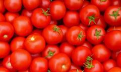 Kitchen Tips: टोमॅटोचे दर वाढले; आता 'या' पदार्थांनी वाढवा जेवणाची चव