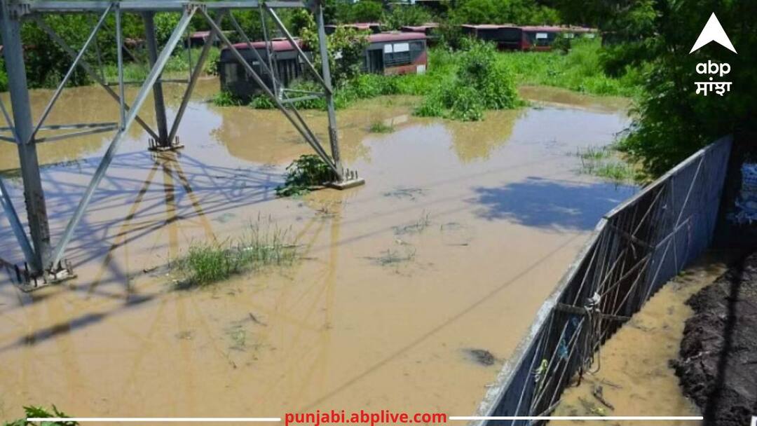 Ludhiana News: ਮੀਂਹ ਰੁਕਿਆ ਪਰ ਨਹੀਂ ਹੋਇਆ ਪਾਣੀ ਦਾ ਹੱਲ, ਬੁੱਢਾ ਨਾਲਾ ਓਵਰਫਲੋਅ, ਬੱਸ ਸਟੈਂਡ ਪਾਣੀ ਵਿੱਚ ਡੁੱਬਿਆ The rain has stopped but the water has not been resolved the old drain overflows in Ludhiana Ludhiana News: ਮੀਂਹ ਰੁਕਿਆ ਪਰ ਨਹੀਂ ਹੋਇਆ ਪਾਣੀ ਦਾ ਹੱਲ, ਬੁੱਢਾ ਨਾਲਾ ਓਵਰਫਲੋਅ, ਬੱਸ ਸਟੈਂਡ ਪਾਣੀ ਵਿੱਚ ਡੁੱਬਿਆ