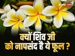 Sawan 2023: इस फूल को मिला है शिव का श्राप, सावन की पूजा में भूलकर भी न करें इस्तेमाल