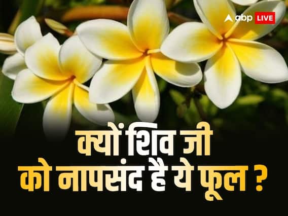 Sawan 2023: इस फूल को मिला है शिव का श्राप, सावन की पूजा में भूलकर भी न करें इस्तेमाल Sawan 2023: इस फूल को मिला है शिव का श्राप, सावन की पूजा में भूलकर भी न करें इस्तेमाल