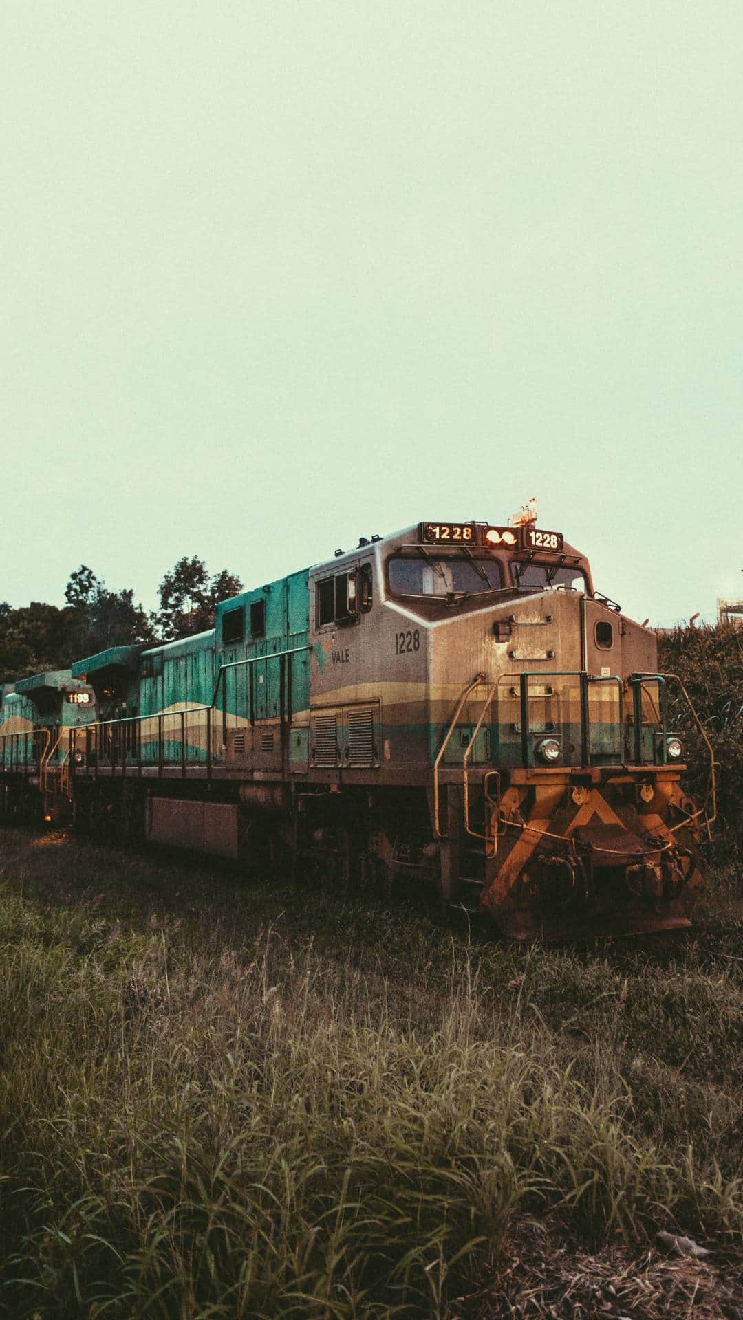 भारत के पास