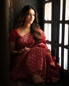 Nabha Natesh: చీరకట్టులో నభా నటేష్ అందాల విందు