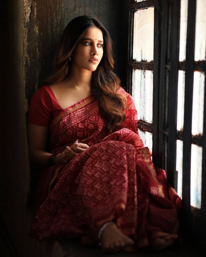 ఇస్మార్ట్ శంకర్ సినిమా తరువాత ఆమెకు పెద్ద హిట్ దక్కలేదు. ప్రస్తుతం సినిమా అవకాశాల కోసం వెతుకుతోంది.