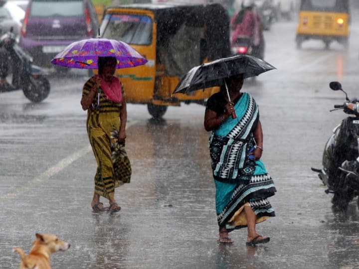 Maharashtra Rain News Yellow alert for rain in Vidarbha today imd monsoon Maharashtra Rain : राज्यात तुरळक ठिकाणी पाऊस, बहुतांश ठिकाणी पावसाची दडी; आज विदर्भात यलो अलर्ट 
